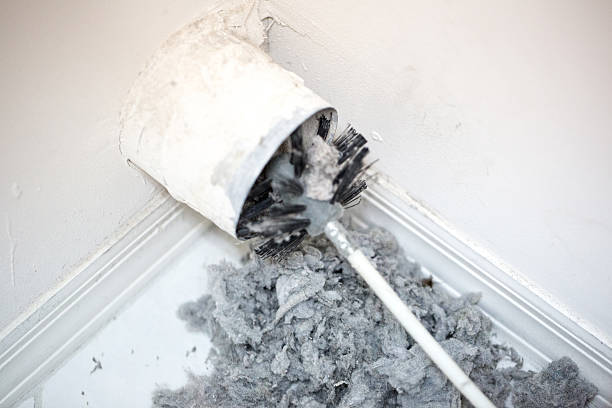 Best Dryer Vent Cleaning Services  in Shingle Springs, CA